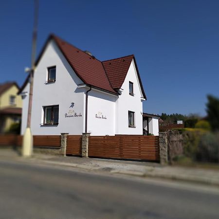 Penzion Burda Sepekov Exteriér fotografie
